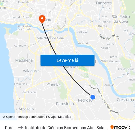 Paradela to Instituto de Ciências Biomédicas Abel Salazar - Polo de Medicina map