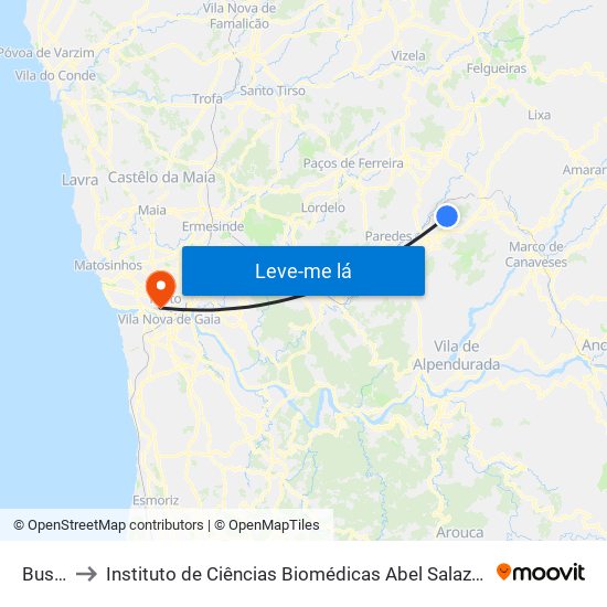 Bustelo to Instituto de Ciências Biomédicas Abel Salazar - Polo de Medicina map