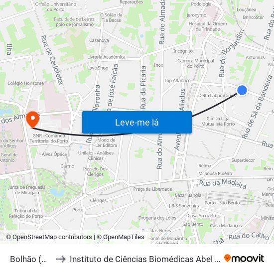 Bolhão (Mercado) to Instituto de Ciências Biomédicas Abel Salazar - Polo de Medicina map