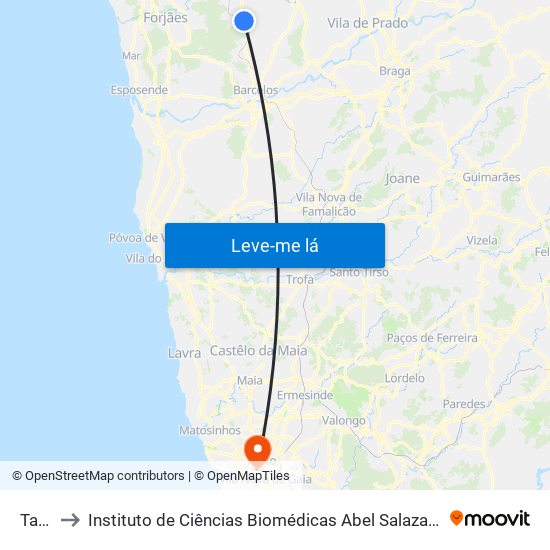 Tamel to Instituto de Ciências Biomédicas Abel Salazar - Polo de Medicina map