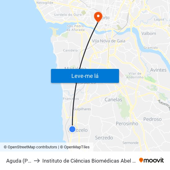 Aguda (Progado) to Instituto de Ciências Biomédicas Abel Salazar - Polo de Medicina map