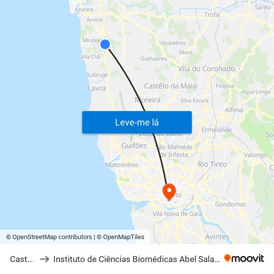 Castelões to Instituto de Ciências Biomédicas Abel Salazar - Polo de Medicina map