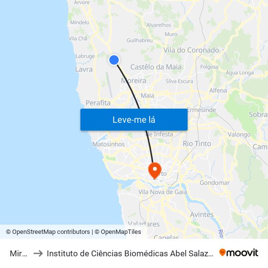 Mirante to Instituto de Ciências Biomédicas Abel Salazar - Polo de Medicina map