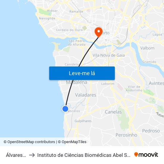 Álvares Cabral to Instituto de Ciências Biomédicas Abel Salazar - Polo de Medicina map