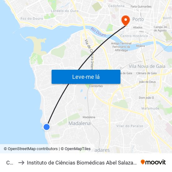 Cerro to Instituto de Ciências Biomédicas Abel Salazar - Polo de Medicina map