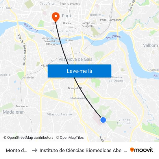 Monte da Virgem to Instituto de Ciências Biomédicas Abel Salazar - Polo de Medicina map