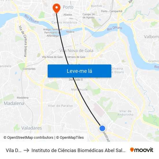 Vila D'Este to Instituto de Ciências Biomédicas Abel Salazar - Polo de Medicina map