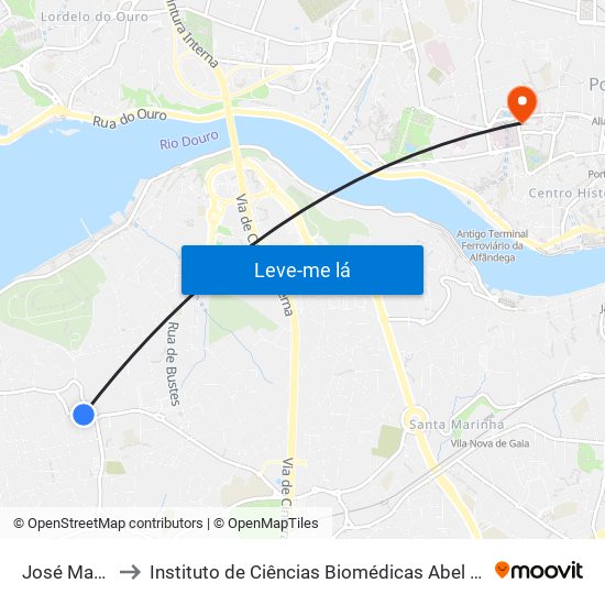 José Maria Alves to Instituto de Ciências Biomédicas Abel Salazar - Polo de Medicina map