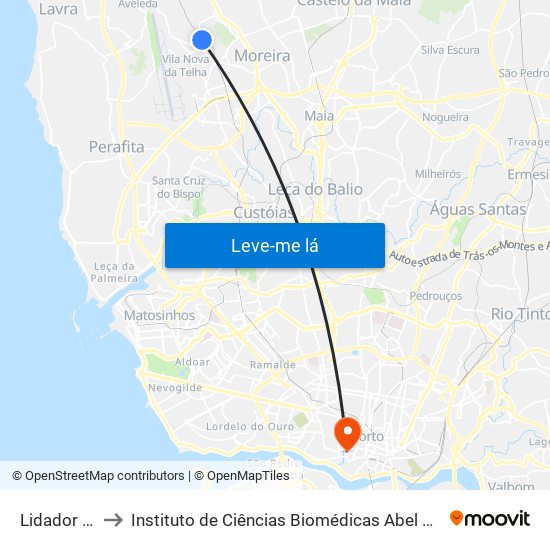 Lidador (Metro) to Instituto de Ciências Biomédicas Abel Salazar - Polo de Medicina map