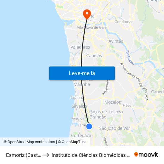 Esmoriz (Castanheiros 1) - B to Instituto de Ciências Biomédicas Abel Salazar - Polo de Medicina map