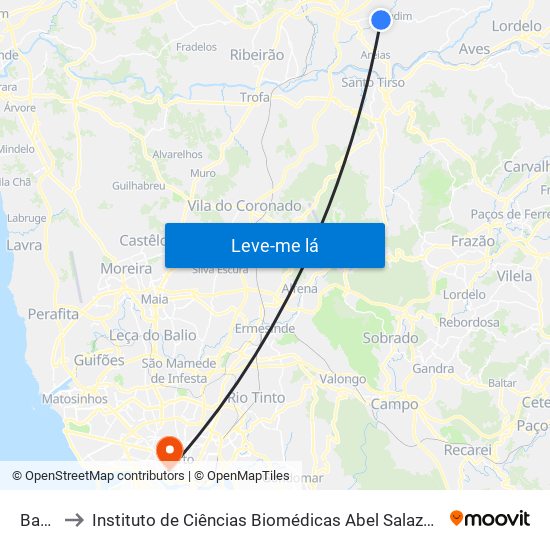 Badina to Instituto de Ciências Biomédicas Abel Salazar - Polo de Medicina map