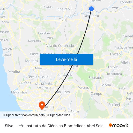 Silvalde 2 to Instituto de Ciências Biomédicas Abel Salazar - Polo de Medicina map