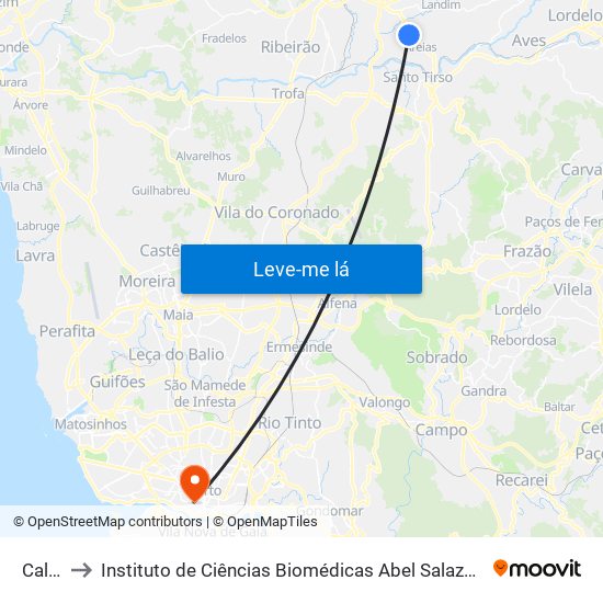 Caldas to Instituto de Ciências Biomédicas Abel Salazar - Polo de Medicina map