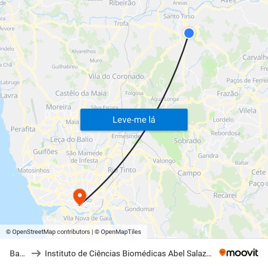Bacelo to Instituto de Ciências Biomédicas Abel Salazar - Polo de Medicina map