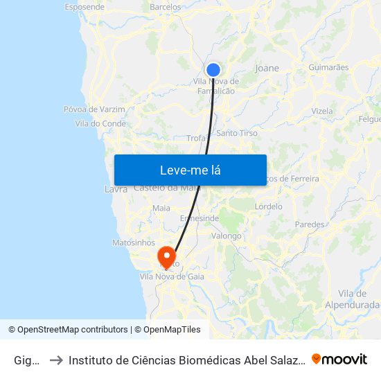 Giguinte to Instituto de Ciências Biomédicas Abel Salazar - Polo de Medicina map