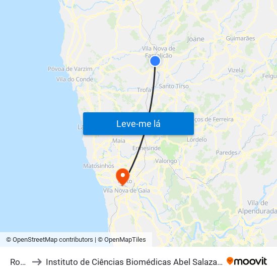 Rorigo to Instituto de Ciências Biomédicas Abel Salazar - Polo de Medicina map