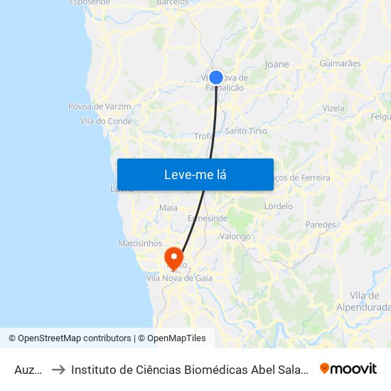 Auzende to Instituto de Ciências Biomédicas Abel Salazar - Polo de Medicina map