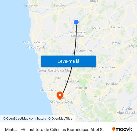 Minhoteira to Instituto de Ciências Biomédicas Abel Salazar - Polo de Medicina map