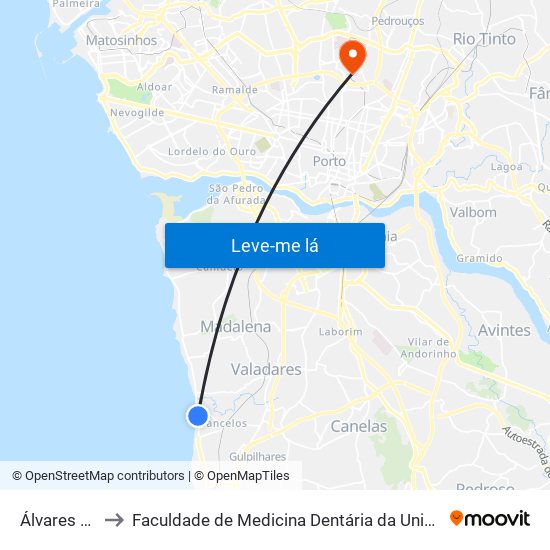 Álvares Cabral to Faculdade de Medicina Dentária da Universidade do Porto map