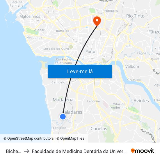 Bicheiros to Faculdade de Medicina Dentária da Universidade do Porto map