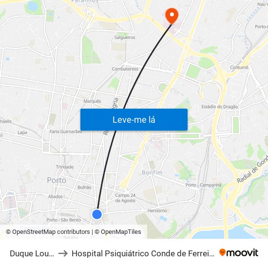 Duque Loulé to Hospital Psiquiátrico Conde de Ferreira map