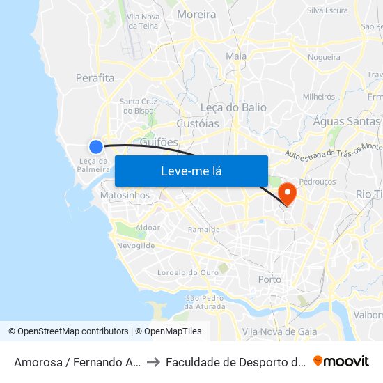 Amorosa / Fernando Aroso (Supermercado) to Faculdade de Desporto da Universidade do Porto map