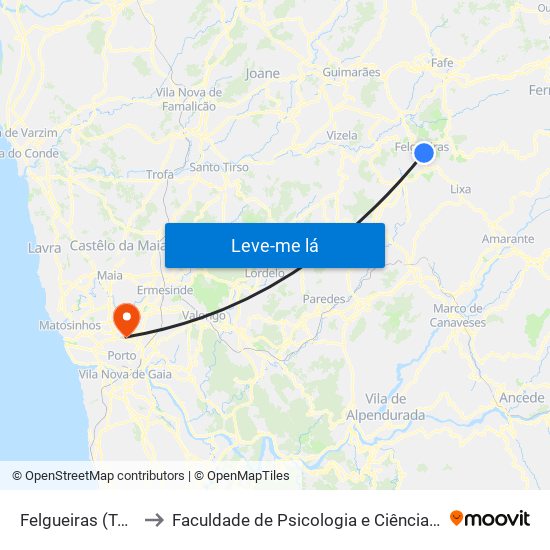 Felgueiras (Terminal Rodoviário) to Faculdade de Psicologia e Ciências da Educação da Universidade do Porto map