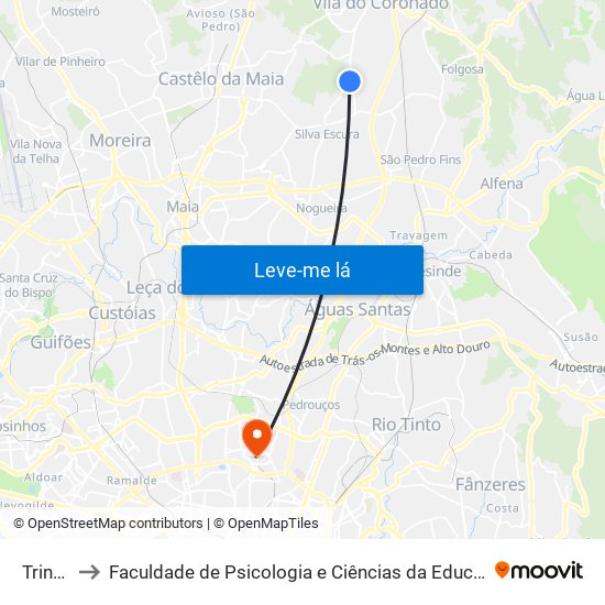 Trinaterra to Faculdade de Psicologia e Ciências da Educação da Universidade do Porto map