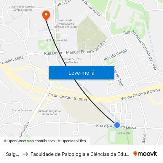 Salgueiros to Faculdade de Psicologia e Ciências da Educação da Universidade do Porto map