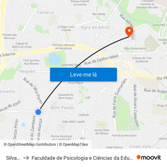 Silva Porto to Faculdade de Psicologia e Ciências da Educação da Universidade do Porto map