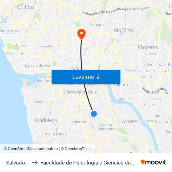 Salvador Caetano to Faculdade de Psicologia e Ciências da Educação da Universidade do Porto map