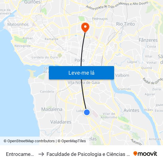 Entrocamento da Palmeira to Faculdade de Psicologia e Ciências da Educação da Universidade do Porto map