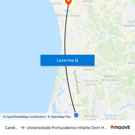 Canelas to Universidade Portucalense Infante Dom Henrique map
