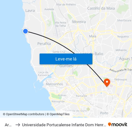 Areal to Universidade Portucalense Infante Dom Henrique map