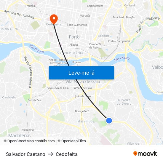 Salvador Caetano to Cedofeita map