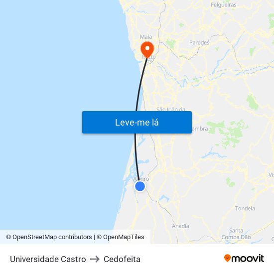 Universidade Castro to Cedofeita map