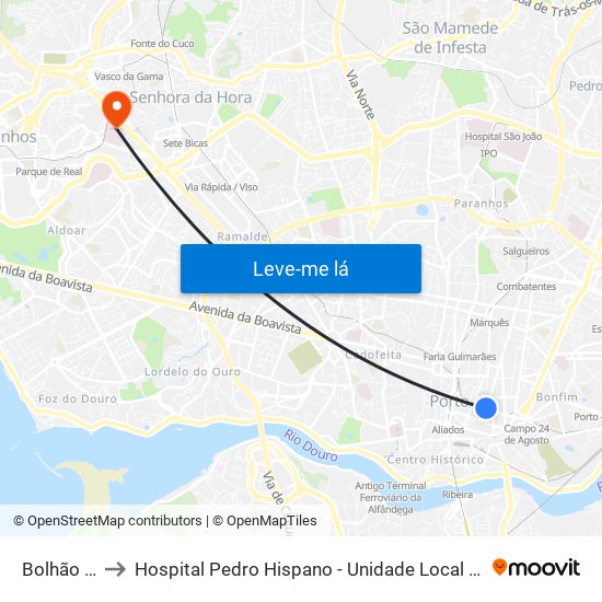 Bolhão (Metro) to Hospital Pedro Hispano - Unidade Local de Saúde de Matosinhos, E.P.E. map