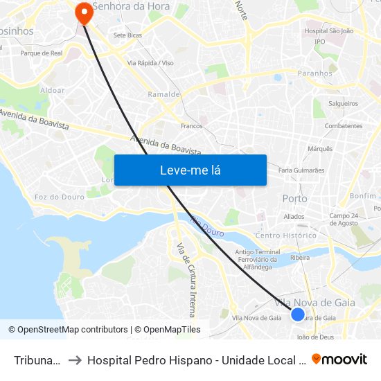 Tribunal de Gaia to Hospital Pedro Hispano - Unidade Local de Saúde de Matosinhos, E.P.E. map
