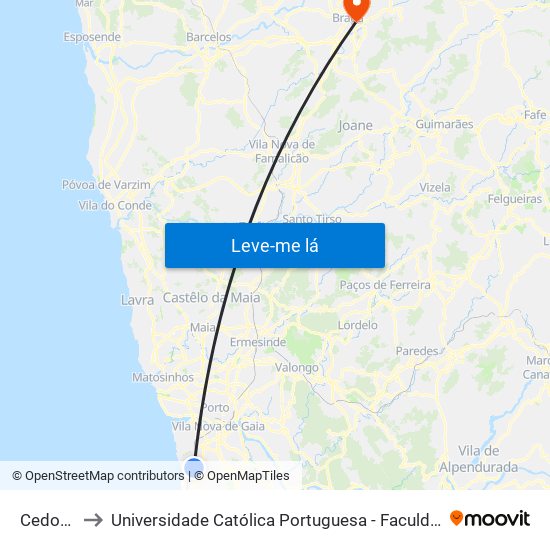 Cedofeita to Universidade Católica Portuguesa - Faculdade de Teologia map