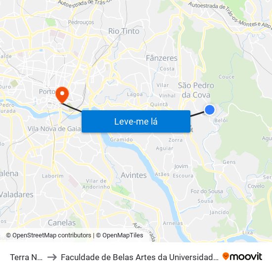 Terra Nova to Faculdade de Belas Artes da Universidade do Porto map