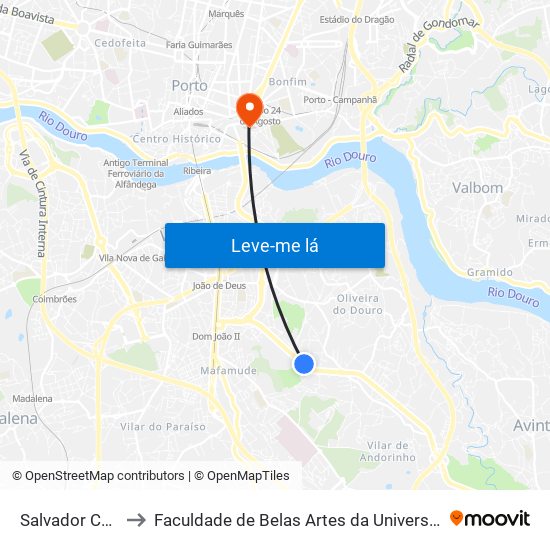 Salvador Caetano to Faculdade de Belas Artes da Universidade do Porto map