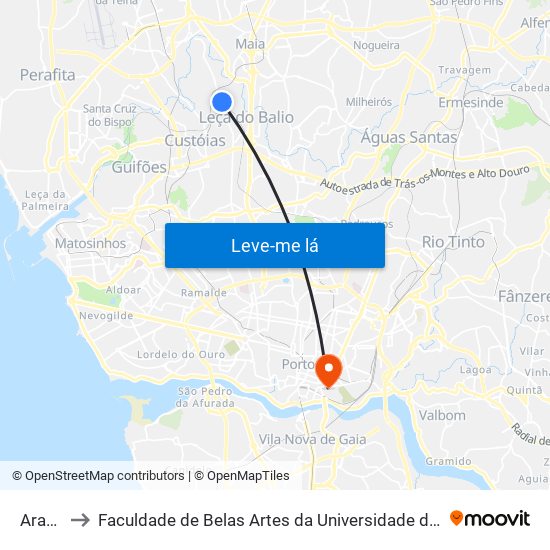 Araújo to Faculdade de Belas Artes da Universidade do Porto map