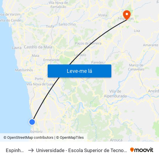 Espinho-Vouga to Universidade - Escola Superior de Tecnologia e Gestão de Felgueiras map