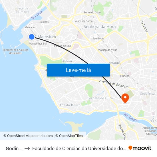 Godinho to Faculdade de Ciências da Universidade do Porto map