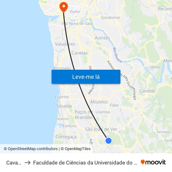 Cavaco to Faculdade de Ciências da Universidade do Porto map