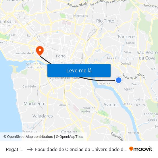 Regatinho to Faculdade de Ciências da Universidade do Porto map