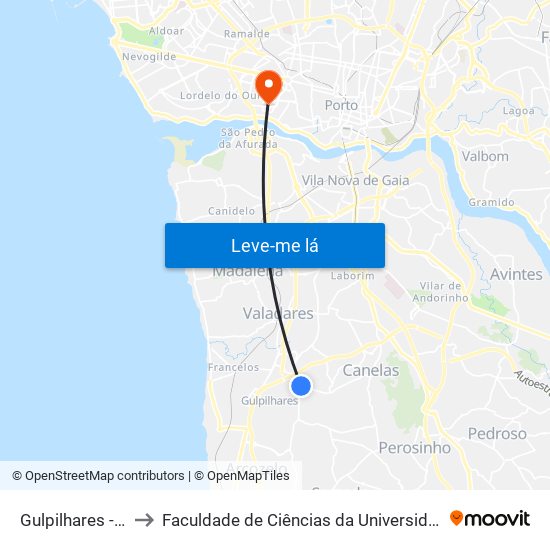 Gulpilhares - Viúva to Faculdade de Ciências da Universidade do Porto map