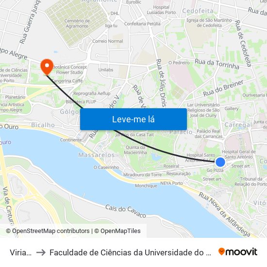 Viriato to Faculdade de Ciências da Universidade do Porto map