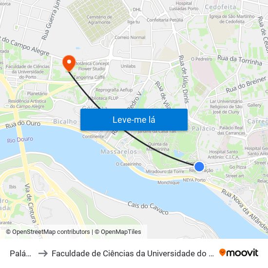 Palácio to Faculdade de Ciências da Universidade do Porto map
