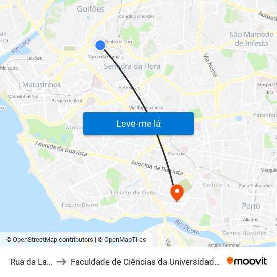 Rua da Lagoa to Faculdade de Ciências da Universidade do Porto map